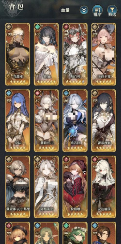 风之痕迹速攻阵容如何搭配 风之痕迹速攻阵容如何搭配