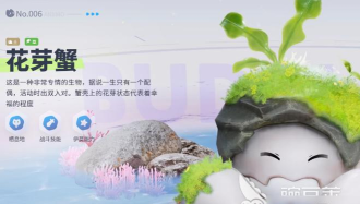 伊莫花芽蟹形态介绍 伊莫花芽蟹形态介绍