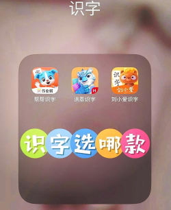 免费热门识字软件推荐:适合儿童和成人的高效识字APP 免费热门识字软件推荐:适合儿童和成人的高效识字APP