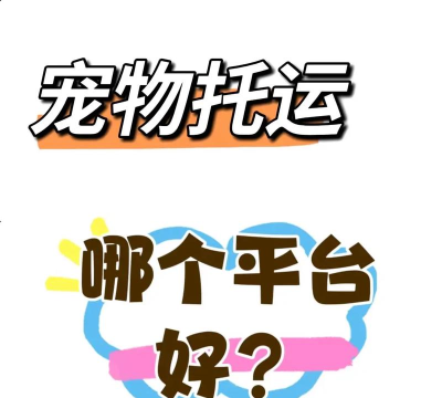 实用可靠的宠物托运平台APP推荐 实用可靠的宠物托运平台APP推荐