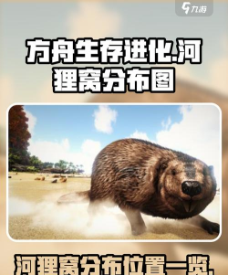 方舟生存进化河狸窝位置分布图及详细刷新点指南 方舟生存进化河狸窝位置分布图及详细刷新点指南
