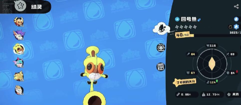 洛克王国翼王热身连击流玩法详解与实战技巧攻略 洛克王国翼王热身连击流玩法详解与实战技巧攻略