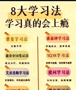 陪学习游戏攻略,高效学习新方法,轻松提升学习兴趣 陪学习游戏攻略,高效学习新方法,轻松提升学习兴趣