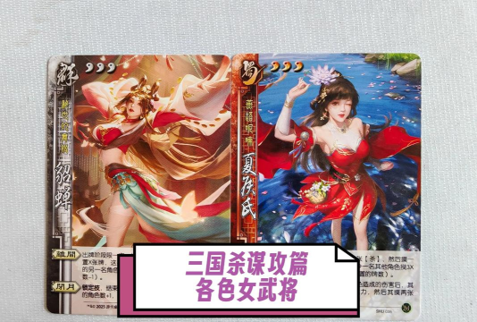 美人计什么游戏,揭秘经典计谋,体验策略博弈 美人计什么游戏,揭秘经典计谋,体验策略博弈