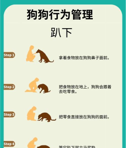 狗狗游戏攻略视频,轻松通关秘籍,萌宠养成全解析 狗狗游戏攻略视频,轻松通关秘籍,萌宠养成全解析