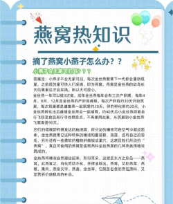 燕窝趣味游戏怎么玩,解锁新奇玩法,体验趣味互动 燕窝趣味游戏怎么玩,解锁新奇玩法,体验趣味互动