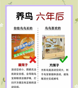 鹦鹉收纳游戏攻略,轻松整理小技巧,快速通关秘籍 鹦鹉收纳游戏攻略,轻松整理小技巧,快速通关秘籍