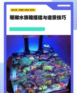修建鱼缸游戏怎么玩,新手入门指南,打造梦幻水族箱 修建鱼缸游戏怎么玩,新手入门指南,打造梦幻水族箱