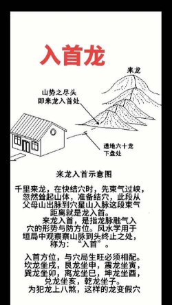 恐怖罗汉游戏攻略,掌握核心技巧,轻松通关无压力 恐怖罗汉游戏攻略,掌握核心技巧,轻松通关无压力