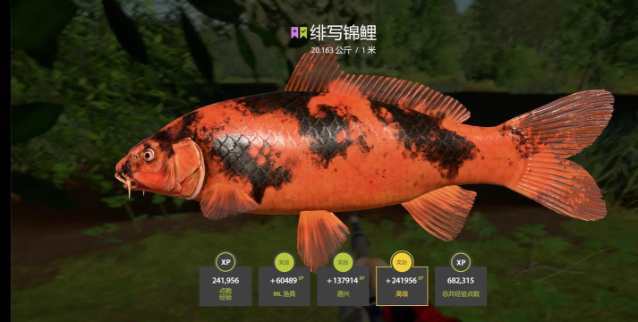 什么游戏可以钓锦鲤,体验悠闲垂钓乐趣,收获好运与惊喜 什么游戏可以钓锦鲤,体验悠闲垂钓乐趣,收获好运与惊喜