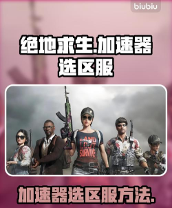 ChickenChicken加速器怎么选 ChickenChicken加速器怎么选