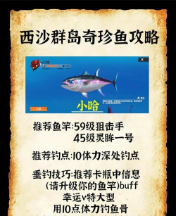 钓鱼游戏海域攻略,掌握核心技巧,轻松钓获稀有鱼种 钓鱼游戏海域攻略,掌握核心技巧,轻松钓获稀有鱼种
