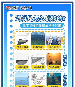 渔船逃生游戏怎么玩,掌握核心规则,体验紧张刺激的生存挑战 渔船逃生游戏怎么玩,掌握核心规则,体验紧张刺激的生存挑战