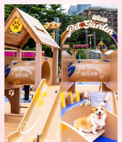 宠物世界玩什么游戏,探索趣味互动,解锁快乐时光 宠物世界玩什么游戏,探索趣味互动,解锁快乐时光