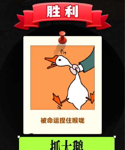 钓大鹅什么游戏,休闲解压新玩法,轻松上手乐趣多 钓大鹅什么游戏,休闲解压新玩法,轻松上手乐趣多