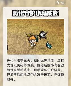 饥荒高脚鸟蛋怎么孵化 饥荒高脚鸟蛋怎么孵化