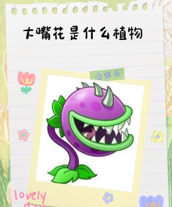 植物大战僵尸3大嘴花怎么样 植物大战僵尸3大嘴花怎么样
