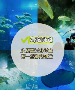 海洋挖掘游戏攻略,新手入门指南,高效赚钱技巧 海洋挖掘游戏攻略,新手入门指南,高效赚钱技巧