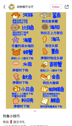 鲨鱼消除游戏攻略,轻松掌握高分技巧,快速通关秘籍分享 鲨鱼消除游戏攻略,轻松掌握高分技巧,快速通关秘籍分享