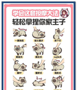 猫咪医院游戏攻略,轻松上手技巧,快速通关秘籍 猫咪医院游戏攻略,轻松上手技巧,快速通关秘籍