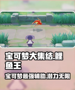 鲤鱼王游戏攻略,轻松捕捉技巧,快速进化秘籍 鲤鱼王游戏攻略,轻松捕捉技巧,快速进化秘籍