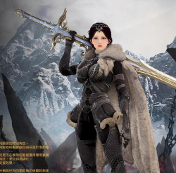 黑色沙漠手游视频,精彩战斗集锦,职业攻略全解析 黑色沙漠手游视频,精彩战斗集锦,职业攻略全解析