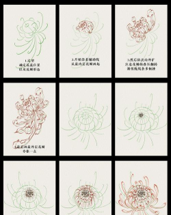 菊花开游戏攻略,轻松上手技巧,快速通关秘籍 菊花开游戏攻略,轻松上手技巧,快速通关秘籍