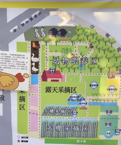 亲子农场游戏攻略,轻松上手,快乐体验 亲子农场游戏攻略,轻松上手,快乐体验