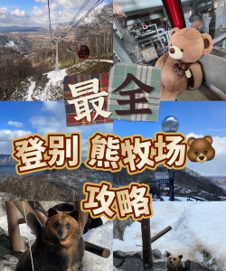 驯服熊是什么游戏,体验野外生存,感受自然挑战 驯服熊是什么游戏,体验野外生存,感受自然挑战