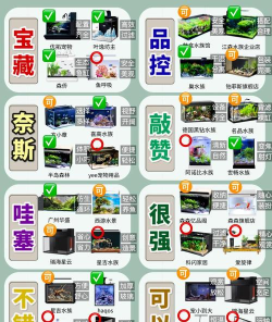 室内养鱼攻略游戏,新手入门指南,轻松打造水族世界 室内养鱼攻略游戏,新手入门指南,轻松打造水族世界