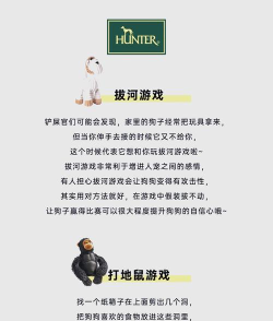 小狗玩什么游戏好,互动游戏推荐,益智游戏选择 小狗玩什么游戏好,互动游戏推荐,益智游戏选择