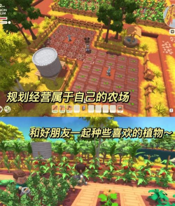 岛屿农夫游戏怎么玩,掌握核心玩法,轻松开启田园生活 岛屿农夫游戏怎么玩,掌握核心玩法,轻松开启田园生活