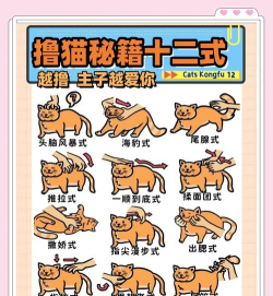 猫猫相亲游戏怎么玩,轻松上手攻略,解锁甜蜜互动 猫猫相亲游戏怎么玩,轻松上手攻略,解锁甜蜜互动