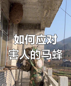 防御马蜂游戏怎么玩,掌握核心技巧,轻松应对挑战 防御马蜂游戏怎么玩,掌握核心技巧,轻松应对挑战