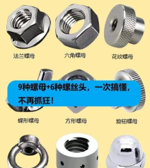 螺母探索游戏攻略,轻松上手技巧,快速通关秘籍 螺母探索游戏攻略,轻松上手技巧,快速通关秘籍