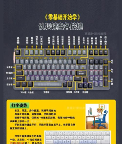 什么游戏适配键盘好,热门游戏推荐,键盘选择技巧 什么游戏适配键盘好,热门游戏推荐,键盘选择技巧