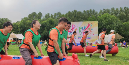 野外雄狮游戏怎么玩,掌握核心规则,体验团队协作乐趣 野外雄狮游戏怎么玩,掌握核心规则,体验团队协作乐趣