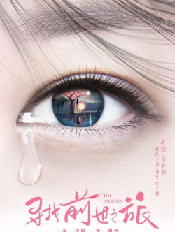 寻找前世之旅手游更新,全新剧情上线,优化游戏体验 寻找前世之旅手游更新,全新剧情上线,优化游戏体验