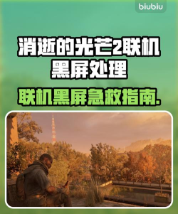 消逝的光芒联机老是掉线怎么办 消逝的光芒联机老是掉线怎么办