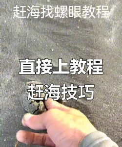 无限赶海游戏怎么玩,掌握核心技巧,轻松收获满满 无限赶海游戏怎么玩,掌握核心技巧,轻松收获满满