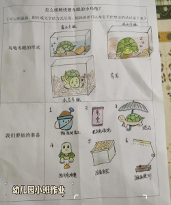 救助乌龟游戏怎么玩,掌握核心玩法技巧,轻松上手拯救小乌龟 救助乌龟游戏怎么玩,掌握核心玩法技巧,轻松上手拯救小乌龟