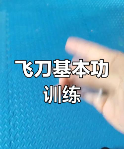 操控飞刀游戏怎么玩,掌握核心技巧,轻松成为投掷高手 操控飞刀游戏怎么玩,掌握核心技巧,轻松成为投掷高手