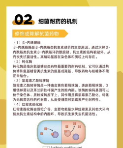 耐药王,揭秘细菌生存法则,挑战你的策略极限 耐药王,揭秘细菌生存法则,挑战你的策略极限