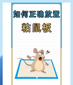 老鼠解压游戏怎么玩,掌握核心玩法技巧,轻松释放压力乐趣多 老鼠解压游戏怎么玩,掌握核心玩法技巧,轻松释放压力乐趣多