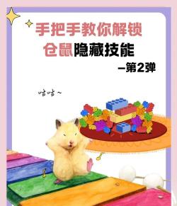 仓鼠小偷游戏攻略,掌握核心技巧,轻松通关拿高分 仓鼠小偷游戏攻略,掌握核心技巧,轻松通关拿高分