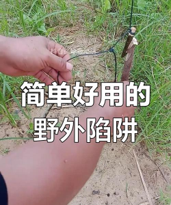 深水狩猎游戏攻略,掌握核心技巧,轻松捕获稀有猎物 深水狩猎游戏攻略,掌握核心技巧,轻松捕获稀有猎物