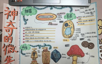 生命游戏猜想怎么玩,探索细胞演化奥秘,掌握规则与策略 生命游戏猜想怎么玩,探索细胞演化奥秘,掌握规则与策略