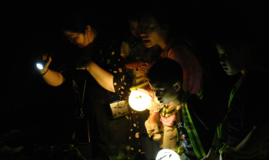 夜间参拜游戏,探索神秘玩法,体验独特氛围 夜间参拜游戏,探索神秘玩法,体验独特氛围