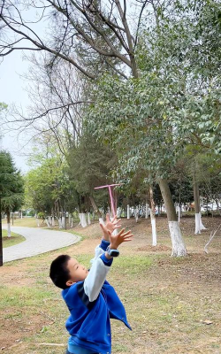 蜻蜓有什么游戏玩法,探索自然乐趣,体验童年回忆 蜻蜓有什么游戏玩法,探索自然乐趣,体验童年回忆