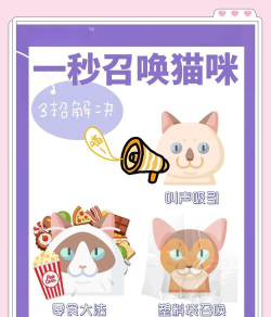 呼叫猫猫游戏怎么玩,新手入门指南,轻松掌握技巧 呼叫猫猫游戏怎么玩,新手入门指南,轻松掌握技巧